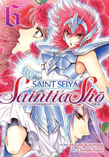 Saint Seiya: Saintia Sho Vol. 6